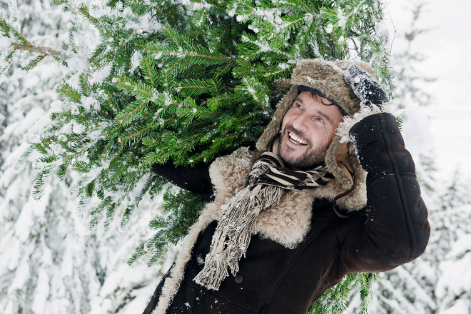 Das Besorgen des Weihnachtsbaums kann richtig Spaß machen - mit modernen Christbaumständern ist dann auch das Aufstellen eine komfortable Angelegenheit.